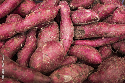 Fresh sweet potato with root at farmer market