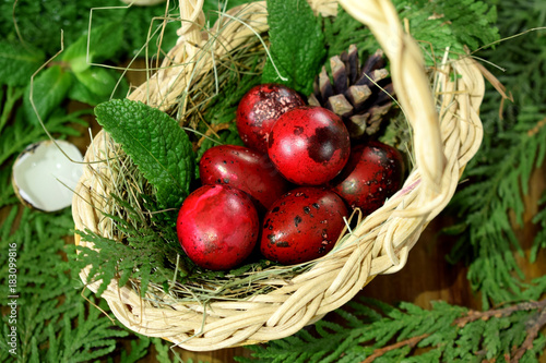 Fototapeta Naklejka Na Ścianę i Meble -  Red coloured quail eggs in a wicker basket. Shells and stumps in the background. Easter symbol