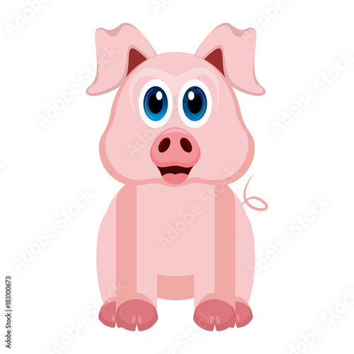 Isolated cute pig