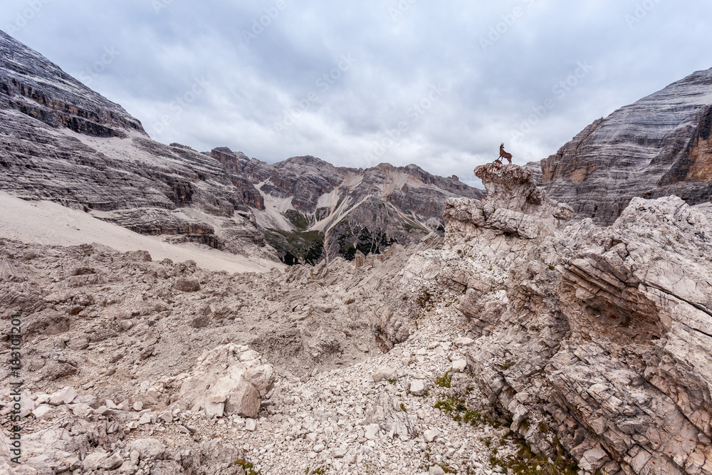 Metal chamois on a rock with expanse of cyclopean boulders, magnificent dolomitic valley and peaks on the background, Fontananegra Pass, Dolomites, Italy