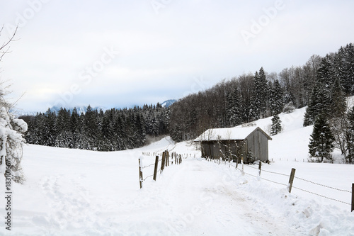 Waldweg mit Schnee © RAM