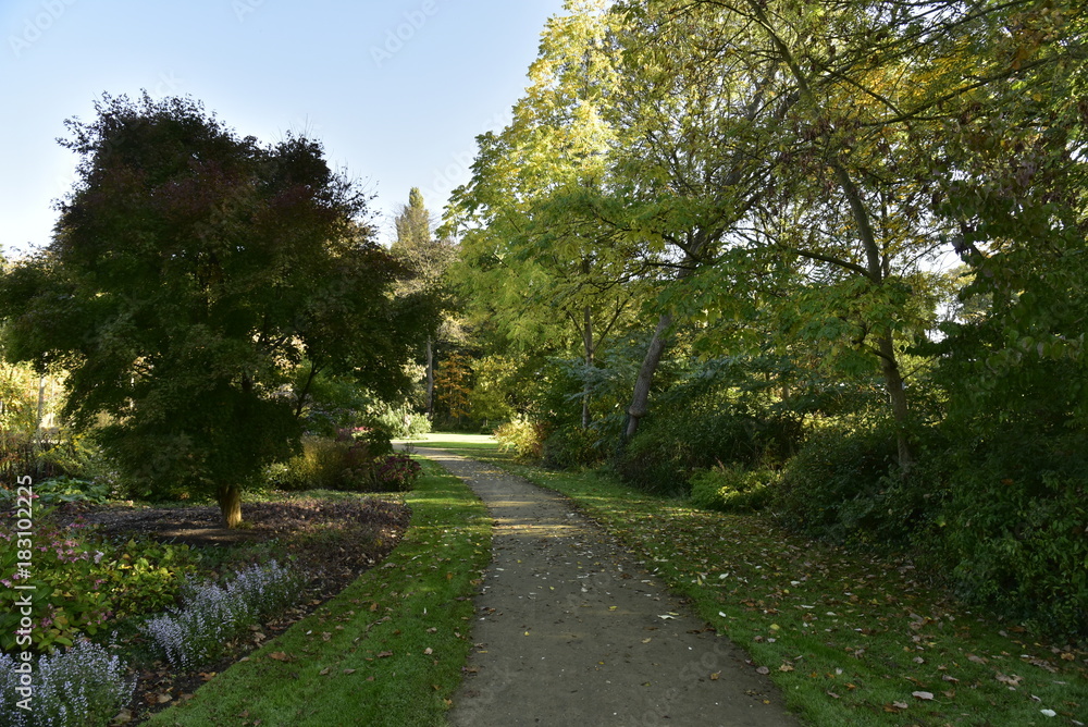 Chemin ombragé vert le jardin aux plantes médicinales au Vrijbroekpark à Malines