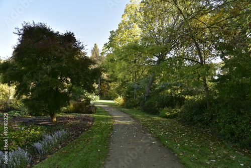 Chemin ombragé vert le jardin aux plantes médicinales au Vrijbroekpark à Malines