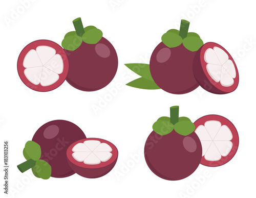 Mangosteen. Set of flat icons. Vector illustration.