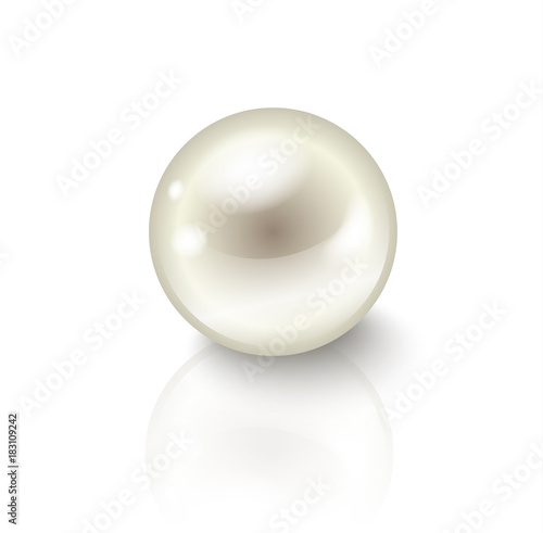 Vector realistic shiny pearl with shadow and reflection isolated on white background