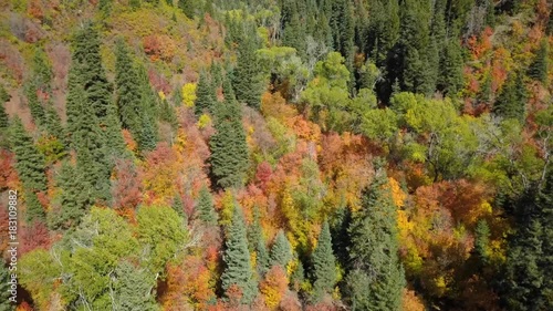 Aerial mountain valley beautiful autumn trees colorful. Beautiful fall colors along Wasatch Mountains. National Scenic Byway, Utah. Aspen, maple and oak trees colorful leaves. photo