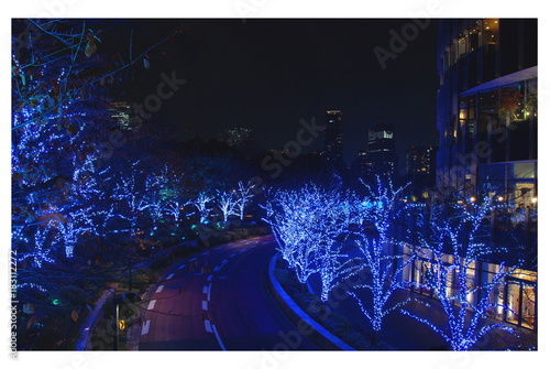 Photography Winter Iluminations festival with light show in Tokyo Midtown, Japan 2017