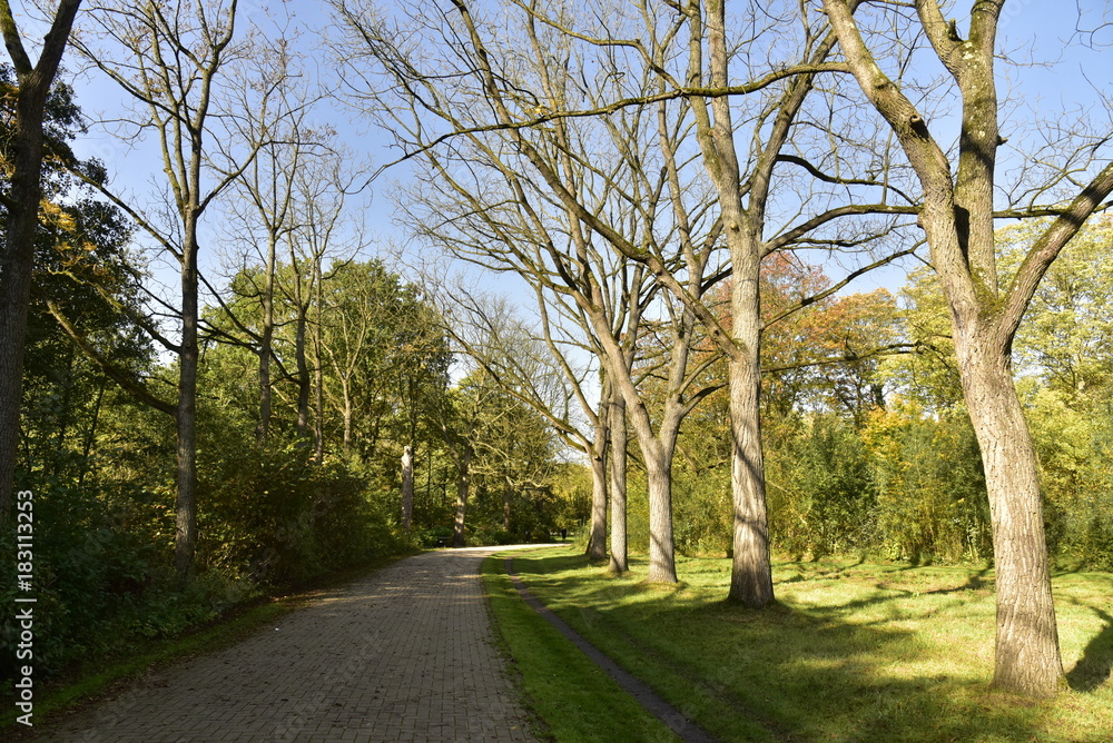 Chemin en pavés longeant les arbres dénudés dans le bois du Vrijbroekpark à Malines Chemin en pavés longeant les arbres dénudés dans le bois du Vrijbroekpark à Malines