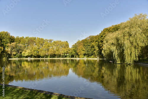 Reflet magique des arbres à feuillage parfois dorée dans l'étang principal au Vrijbroekpark à Malines