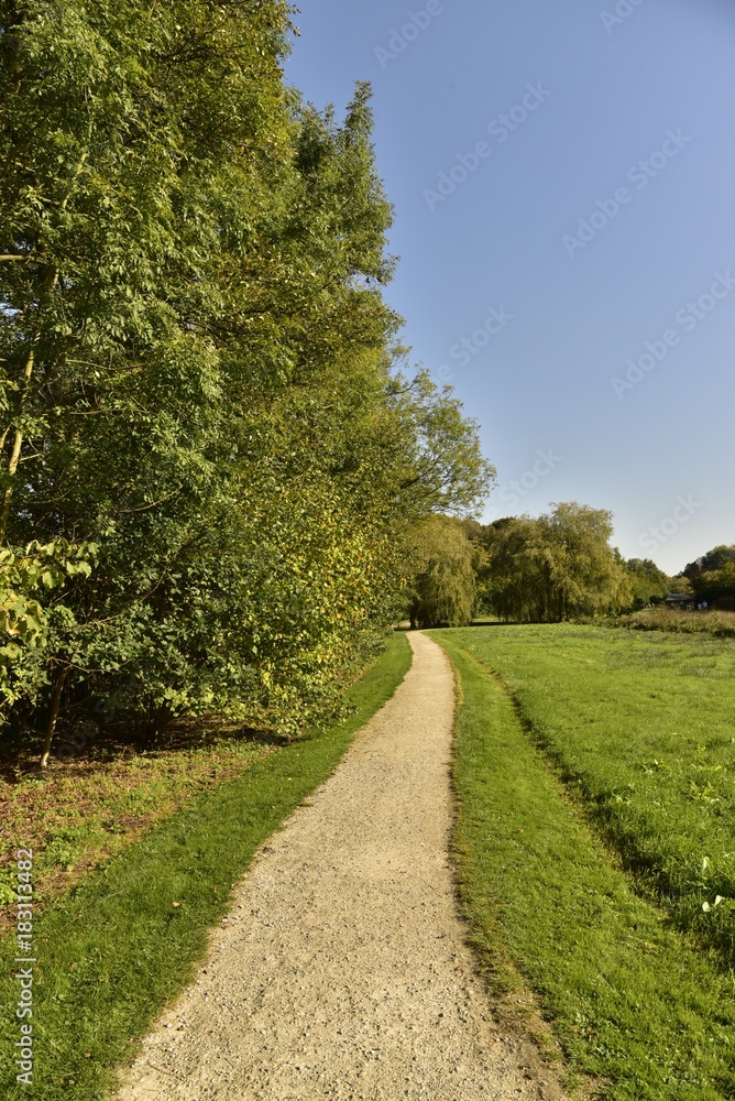 Chemin en gravier concassé légèrement sinueux longeant un bois au Vrijbroekpark à Malines