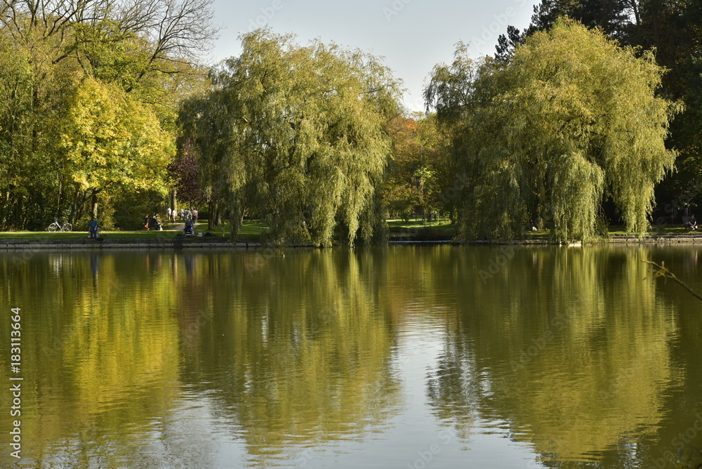 Reflet magique des arbres à feuillage parfois dorée dans l'étang principal au Vrijbroekpark à Malines
