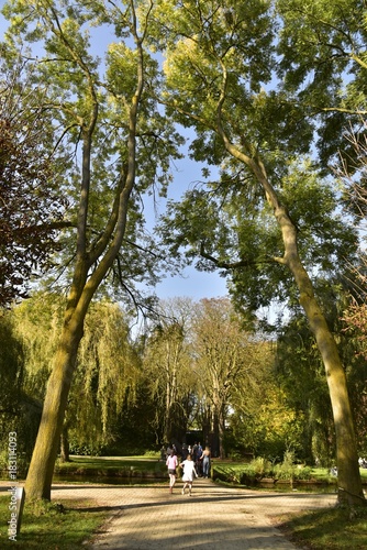 promenade sous la nature luxuriante en automne au Vrijbroelkpark à Malines