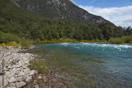 River Futaleufu flowing through a forested valley and spring flowers in the Aysén Region of southern Chile. The river is renowned as one of the premier locations in the world for white water rafting.