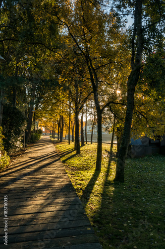 wooden pathway in the park under the morning sunlight 