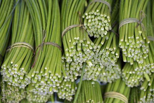 Asian chives or nira on grocery store photo