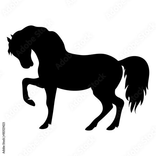 Vector Silhouette of Beautiful Horse