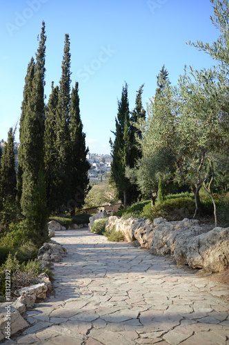 View of Jerusalem from the Mount of Olives