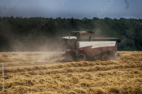 combine harvest in the fiel © snaillens