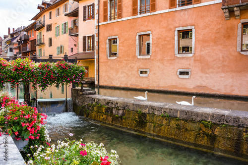 Fototapeta Naklejka Na Ścianę i Meble -  City of Annecy. Historical medieval houses, swans swim along the Tue Canal, the embankment is decorated with flowers, on the bridge and embankment many tourists in the resort town of Annecy in France 