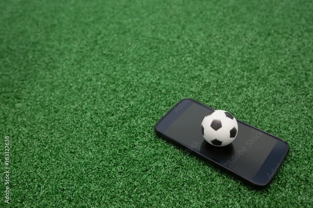 Naklejka premium Football and mobile phone on artificial grass