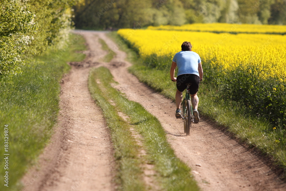 Fototapeta premium Mountain Biking