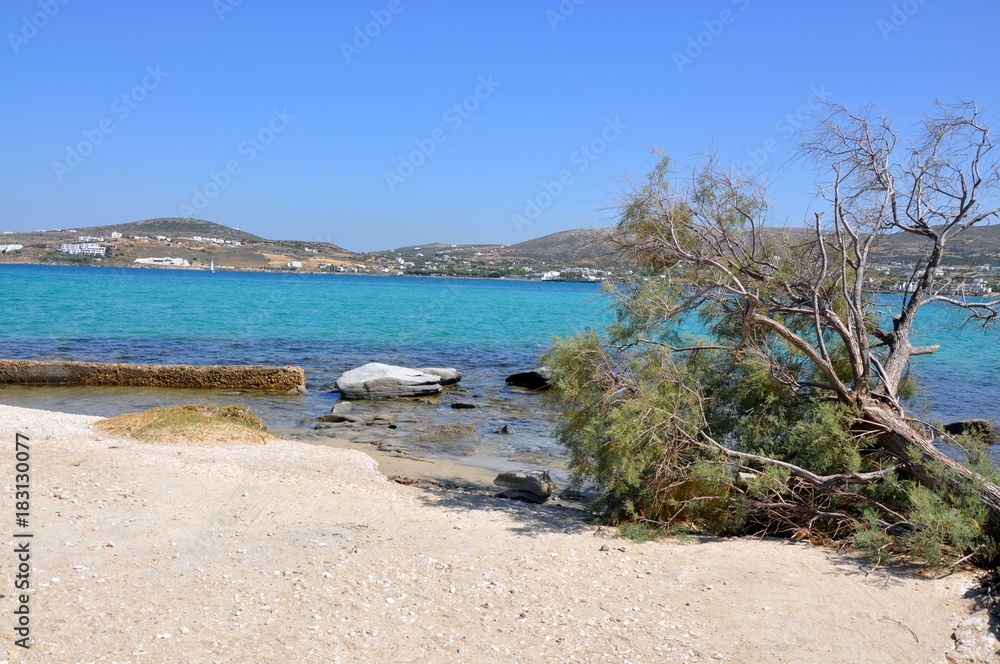 Fallen tree on beach greek beautiful motive photo, Kolimbithres beach on Paros
