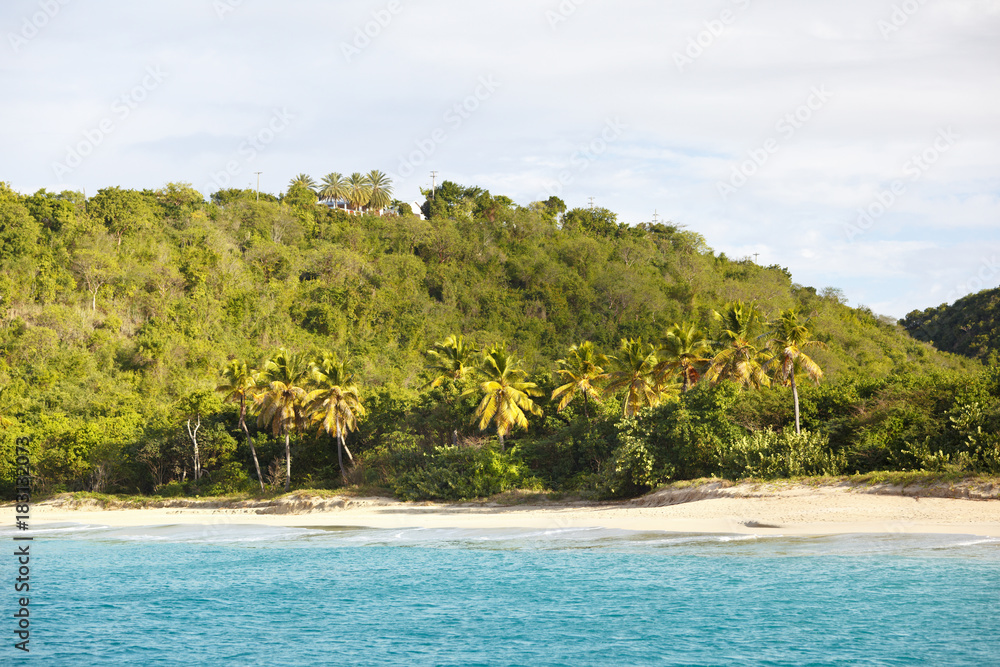 Pristine Caribbean Beach, Antigua Pristine Caribbean Beach, Antigua