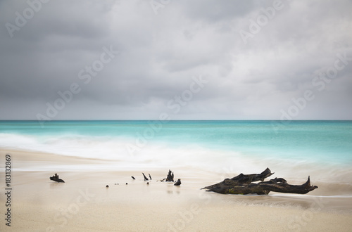 Stormy Caribbean Beach With Driftwood, Antigua