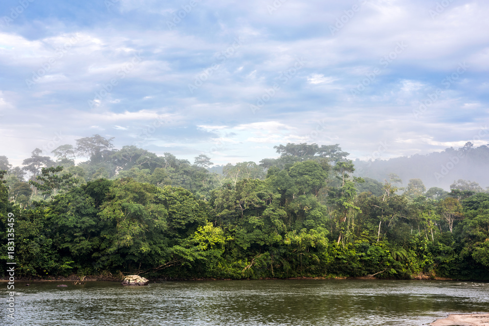 Amazonian rainforest. Misahualli River. Napo province, Ecuador