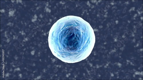 3D rendered Animation of a morphing, single biological Cell.
