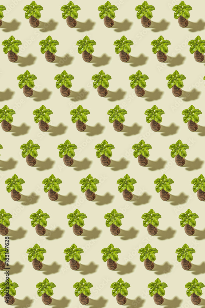 Palm pattern Palm pattern