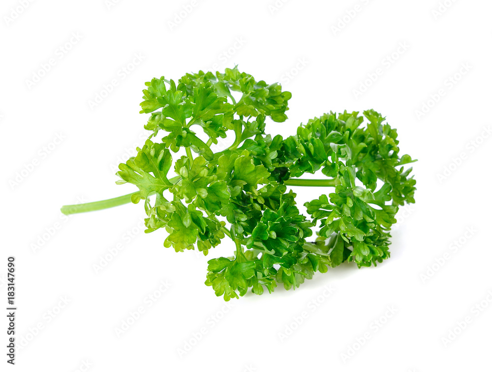Obraz premium parsley isolated on a white background