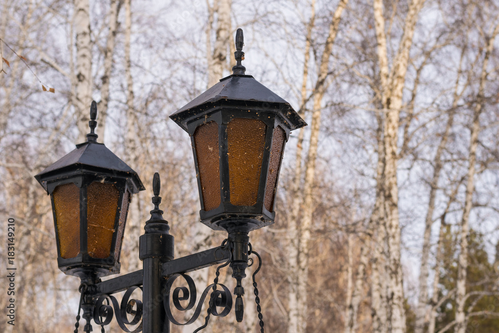 Beautiful roadside lamps with ornament.