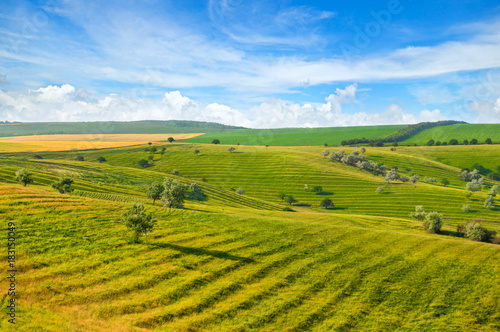 picturesque green field and blue sky © alinamd