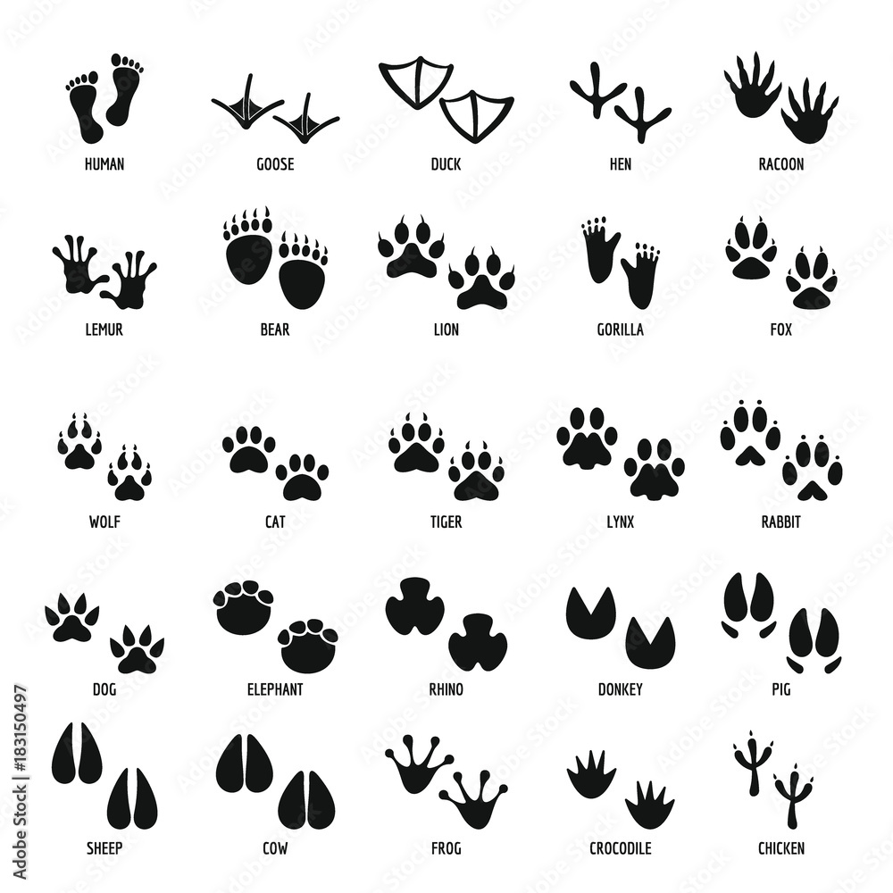 Obraz premium Animal footprint icons set, simple style