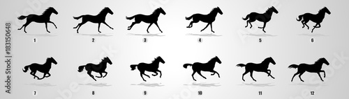 Fotografiet Horse Run cycle, Animation, Sprites, Sprites sheets, Animation frames, sequence,
