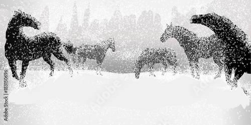 Horses in Snow field, Silhouette