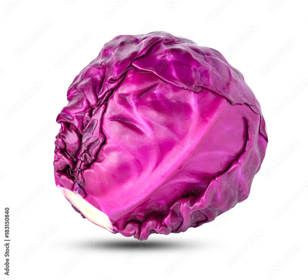 head of red cabbage on a white background head of red cabbage on a white background