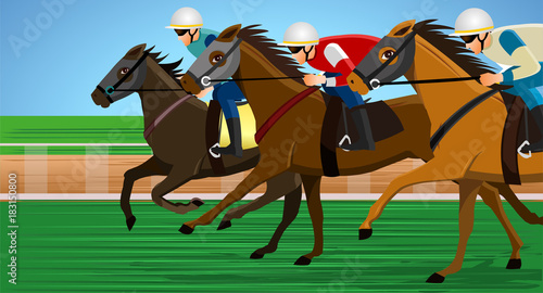 Horse racing, Racecourse, Jockey