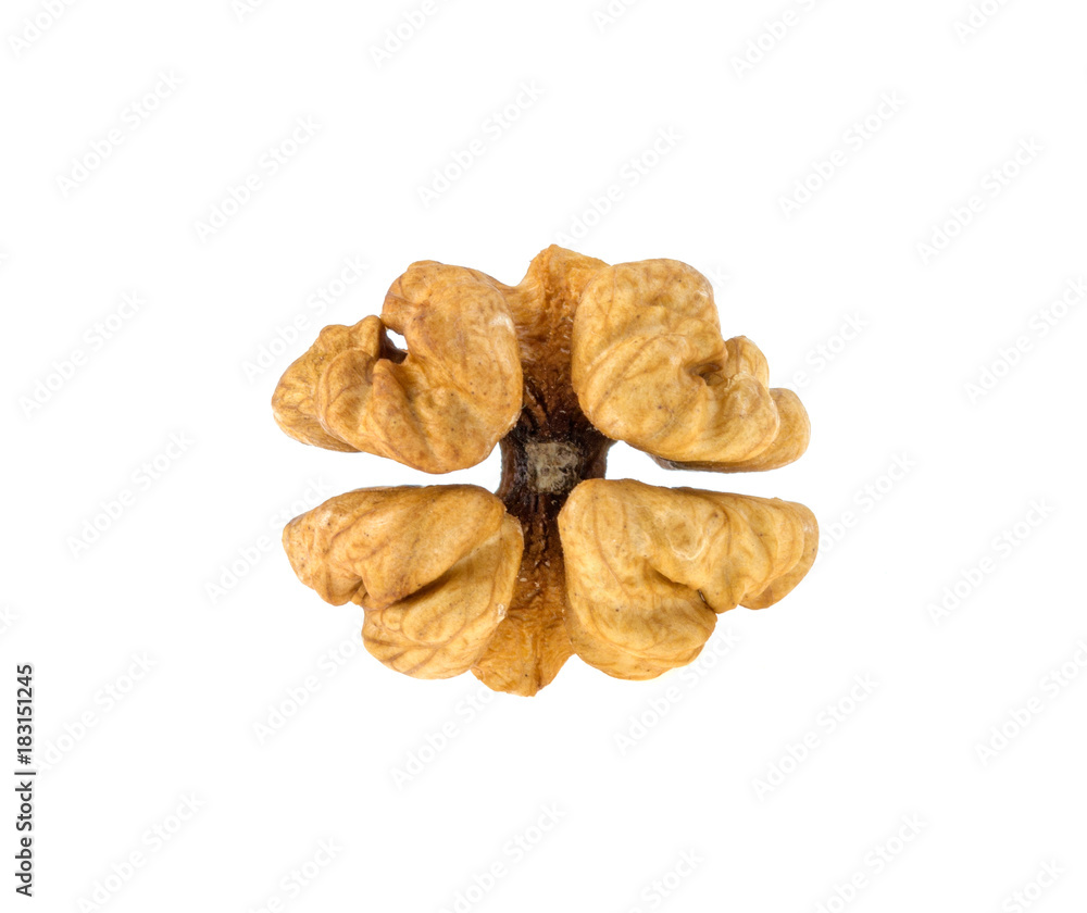 walnut heart isolated on white background walnut heart isolated on white background
