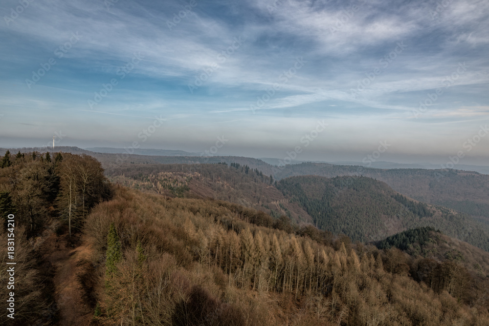 Luitpoldturm im Pfälzer Wald bei Merzalben Luitpoldturm im Pfälzer Wald bei Merzalben