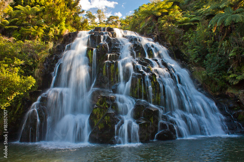 Cascade waterfall near town of Waihi  New Zealand