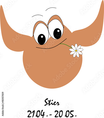 Sternzeichen Stier