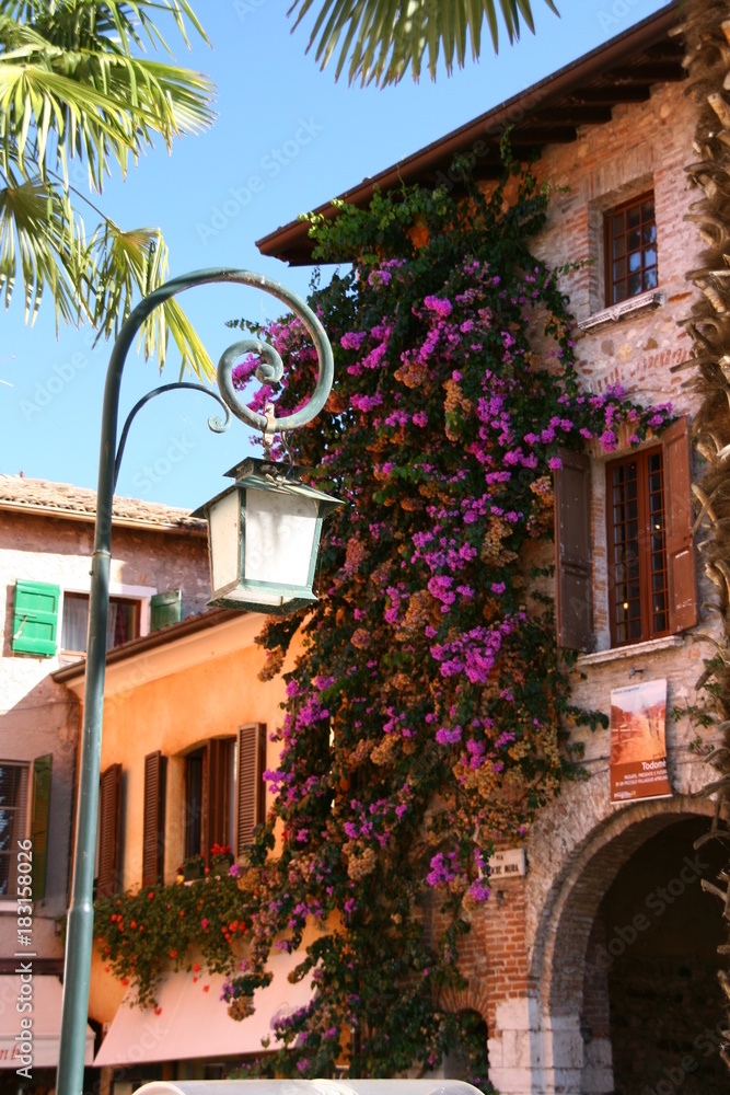 Fototapeta premium Gardasee Limone