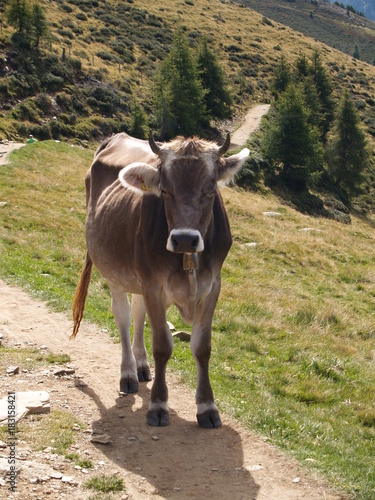 Wallpaper Mural Alpen Idylle Torontodigital.ca