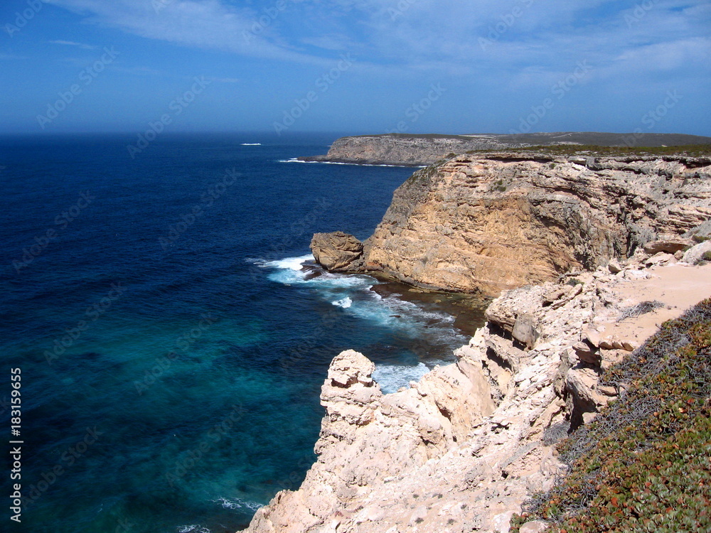 Fototapeta premium the whalers way