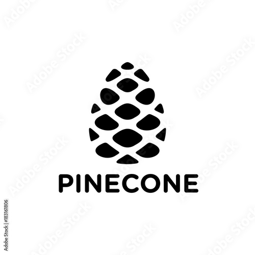 Pinecone logo design 