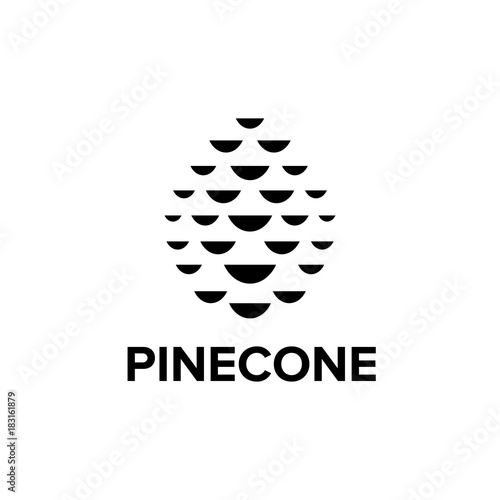 Pinecone logo design 
