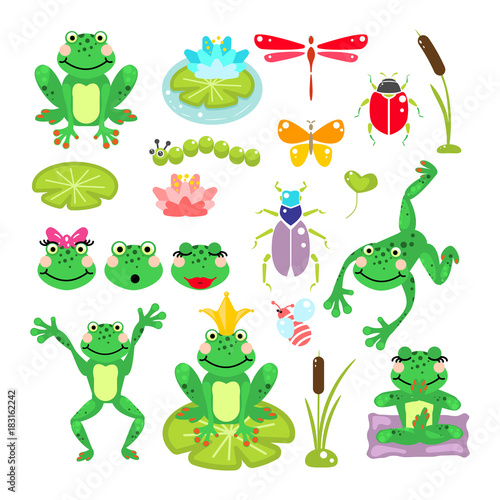 Frogs cartoon green clip-art vector set. Beetles, dragonfly, prince and water lily illustration.