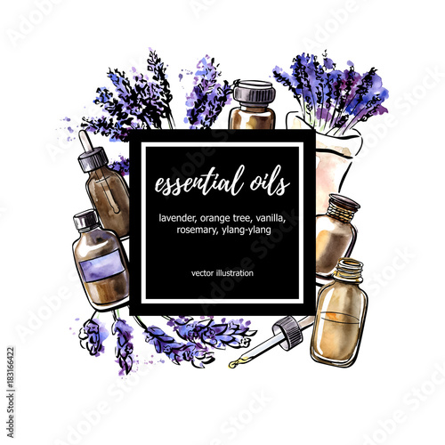 Lavender. Vector illustration Essential oil. Hand drawn watercolor bottles, aromatic plants and flowers and black square frame with place for your text. Aromatherapy card, poster, flyer design.